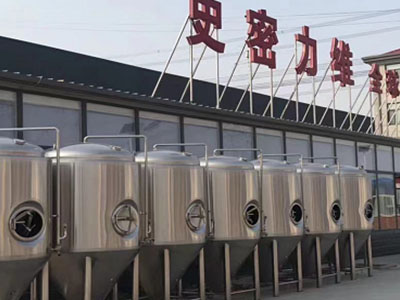 慈溪精酿啤酒设备厂—市场规模与跨界新需求